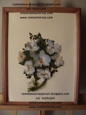  Novios y novias en Vitacura |  CONSERVA TU RAMOS DE NOVIA O CUALQUIER OTRO TIPO DE ARREGLO FLORAL ENMARCAD, RAMOS DE FLORES ENMARCADOS Y PRESERVADOS