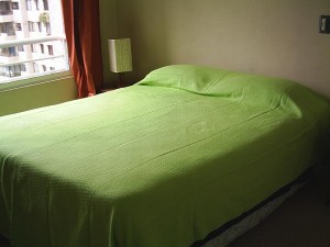  Novios y novias en Santiago |  Arriendo Departamentos Amoblados.(Días,semanas) Stgo centro Chile, METRO UNIVERSIDAD CATOLICA