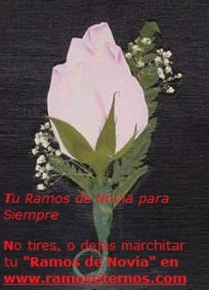 http://www.RAMOSETERNOS.COM Anuncios gratis para novios en Las Condes |  ATENCION NOVIOS DE TODO CHILE PARA QUE BOTAR TU RAMOS DE NOVIA TEMUCO, ENMARCADOS http://www.RAMOSETERNOS.COM