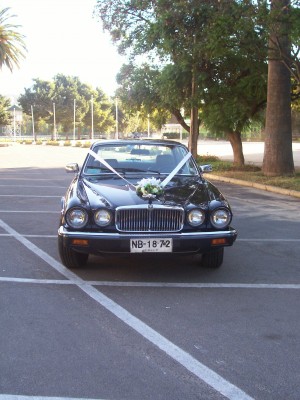 coca fern&aacute;ndez Anuncios gratis para novios en Vi&ntilde;a del Mar |  Arriendo auto Jaguar para matrimonio, Auto jaguar negro a&ntilde;o 1986