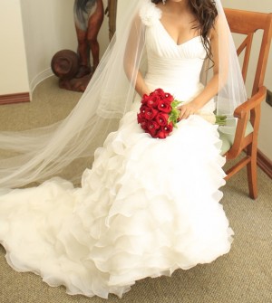 Valeria Anuncios gratis para novios en Macul |  VESTIDO DE NOVIA marca Pronovias, Comprado en Barcelona, Espa&ntilde;a