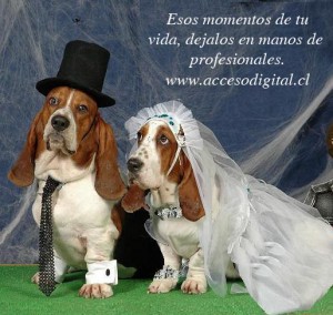 Jorge Garrido Chirino Anuncios gratis para novios en Quilpu&eacute; |  fotografia, video, matrimonios, quilpue villa alemana, limache, quillota, servicios profesionales toda la 5� region
