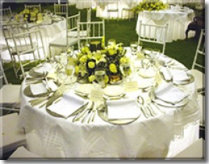 ALEXANDER Anuncios gratis para novios en Santiago |  BANQUETERIA Y COCKTELERIA, EVENTOS MIL DELICIAS