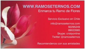 http://www.ramoseternos.com Anuncios gratis para novios en Concepci&oacute;n |  Enmarcado de ramos de novia, Cristina Diaz, http://www.ramoseternos.com