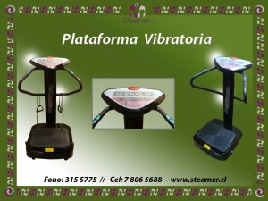 MARIA ALICIA MARTINEZ Novios y novias en La Florida |  1978 Planchas a vapor steamer maier, PLANCHA A VAPOR VERTICAL