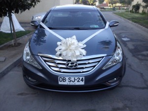 Carmen Gloria Lira  Novios y novias en Santiago |  arriendo de auto con chofer para traslado de novios  , Auto nuevo, elegante para que se luzca en su matrimonio