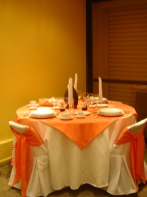 ARRIENDEO DE VAJILLA Y CARPAS NAVARRETE HMNOS. Anuncios gratis para novios en Maip&uacute; |  ARRIENDEO DE VAJILLA Y CARPAS NAVARRETE HMNOS., ARRIENDO DE FINA VAJILLA Y CARPAS EN MAIPU Y EN TODO SANTIAGO