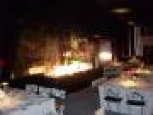 Todofiestas Anuncios gratis para novios en Santiago |  Arriendo de toldos y carpas, toldos y carpas