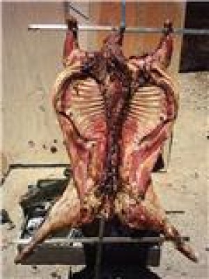 LUSEPE  Anuncios gratis para novios en Maip&uacute; |    ASADOS  DIECIOCHERO ,   FIESTAS CAMPESTRES
