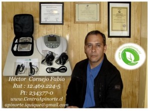 Centro Apinorte Anuncios gratis para novios en Iquique |  Venta Desintoxicador ionico Doble, Desintoxicaci&oacute;n ionica