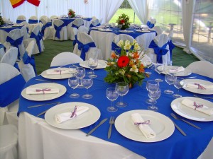 TodoFiestas Anuncios gratis para novios en Santiago |  Arriendo de Loza, Vajilla, Carpas, Toldos, Mesas, Sillas, Manteles, etc., De todo para su Fiesta al mejor precio