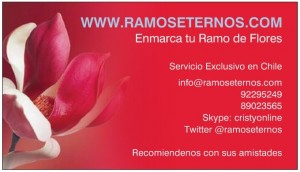 ramoseternos Anuncios gratis para novios en Las Condes |  Donde enmarcar mi ramo de novia, enmarcado y conservacion de ramos de novias