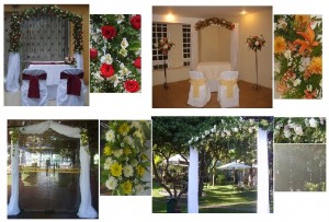 ARI Anuncios gratis para novios en Santiago |  ARCOS PARA FLORES, FLORES NOVIAS