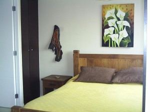  Anuncios gratis para novios en Santiago |  ARRIENDO DEPARTAMENTOS AMOBLADOS EN SANTIAGO de CHILE   Stgo centro (dia/s,, METRO UNIVERSIDAD CATOLICA