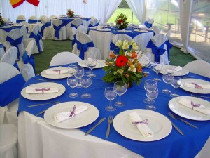 TodoFiestas Anuncios gratis para novios en Santiago |  Arriendo de Carpas, De todo para su Fiesta al mejor precio, Fonos:  7528577  - 7527410