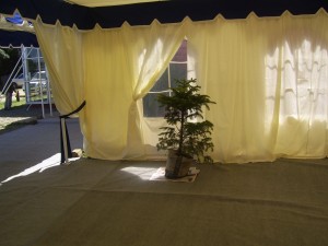 JORGE RODRIGUEZ  CORTES Anuncios gratis para novios en Temuco |  ARRIENDO DE CARPAS Y VAJILLA    ARAUCANOEVENTOS, ARAUCANOEVENTOS