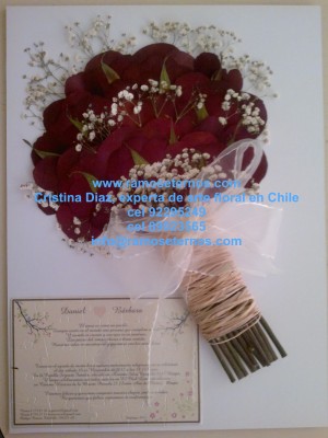 cristina Diaz Anuncios gratis para novios en Maip&uacute; |  Novias de Chile, exclusivo conservacion de flores en CHile, ramos de novias, Servicio de Enmarcado de Ramos de Novias,  