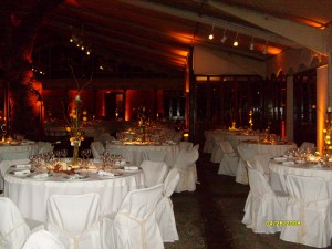 Patricio Hernandez Anuncios gratis para novios en Quilicura |  World  Eventos, Matrimonios,coktail,cenas almuerzos a domicilio