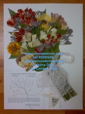 cristina Diaz Anuncios gratis para novios en Las Condes |  Ramos novia � Especialistas en secar y conservar tu ramo de novia, Especialistas en conservar y secar el ramo de novia.