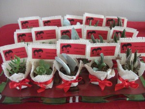 Gloria Anuncios gratis para novios en Santiago |  Cactus souvenirs recuerdos para eventos en general, Recuerdos para matrimonios .