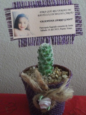 Gloria Anuncios gratis para novios en Santiago |  Cactus souvenirs recuerdos para eventos en general vis&iacute;tanos!!, Matrimonios recuerdos cactus y souvenirs