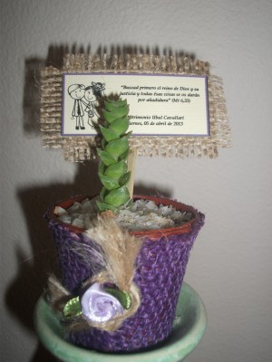 Gloria V. Anuncios gratis para novios en Santiago |  Hermosos cactus de recuerdos para toda ocasi&oacute;n, matrimonios, bautizos, Cactus y crasas variedades