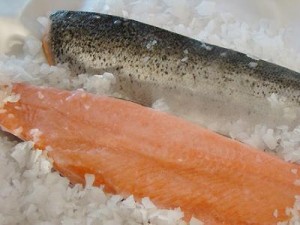 Comercializadora Mena Anuncios gratis para novios en Santiago |  Venta de productos del mar desde puerto montt, Pescados, mariscos, productos del mar