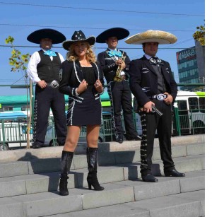 Los Mariachis De Chile Anuncios gratis para novios en Santiago |  !!! mariachis en tu domicilio,los mariachis de chile:09-4769396 !!!, !!!mariachis profesionales y discretos: 09-4769396 !!!