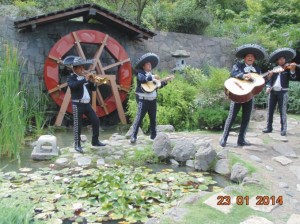 Mariachi Tierra Nueva Anuncios gratis para novios en Santiago |  Mariachis en chile,insuperables: 07-9617068  mariachi tierra nueva, !!!mariachis a domicilio: (022) 301 63 70 !!! 