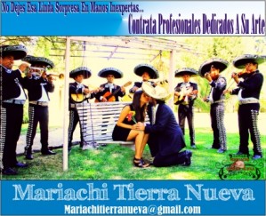 Mariachi Tierra Nueva Anuncios gratis para novios en Santiago |  Serenatas a domicilio  dia del padre:(022)7270129,   !!! contrataciones: 07-9617068 !!!