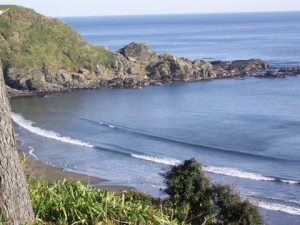 JORGE RODRIGUEZ  CORTES Anuncios gratis para novios en Valdivia |  ARRIENDO DE CARPAS Y VAJILLA    ARAUCANOEVENTOS, ARAUCANOEVENTOS