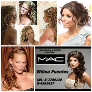 WILMA FUENTES Anuncios gratis para novios en Santiago |  Peinados, maquillaje mac y esmalte permanente a domicilio, Especialista novias, madrinas, fiestas, eventos, graduaciones