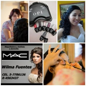 WILMA FUENTES Anuncios gratis para novios en Santiago |  Especialista peinados, maquillaje esmalte permanente a domicilio, Estilista y maquilladora, novias, madrinas, fiestas, graduaciones