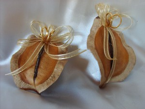 Leslie R&iacute;os Anuncios gratis para novios en Limache |  encintados recuerdos souvenirs, matrimonios bautizos nacimientos despedidas etc!