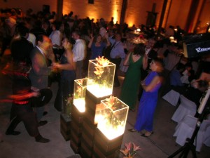 Jorge Ayala Anuncios gratis para novios en Maip&uacute; |  M&uacute;sica Para Fiestas, DJ, VJ, Iluminaci&oacute;n, Proyecci&oacute;n, Grabaci&oacute;n En Video, Matrimonios, Bautizos, Aniversarios, Cumplea&ntilde;os, Despedidas De Solteros(as)