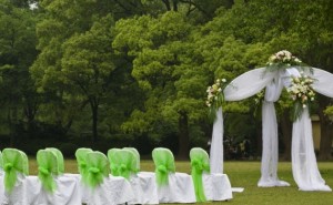 menta limon Anuncios gratis para novios en Santiago |  Producciones de eventos lim&oacute;n con sal para matrimonios , Producci&oacute;n de eventos y banquetear&iacute;a