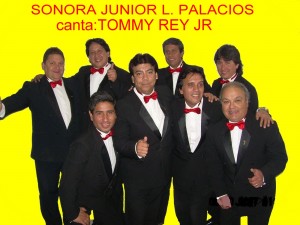 RENE MARTINEZ R. Anuncios gratis para novios en Santiago |  Sonora L.Palacios en tu fiesta., para bailar toda la noche.