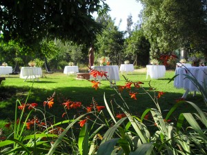 Matthias Anuncios gratis para novios en Talagante |  Campo de Eventos para Matrimonios. Ceremonia. Fiesta en un entorno natural, Matrimonios con la elegancia y frescura del campo.