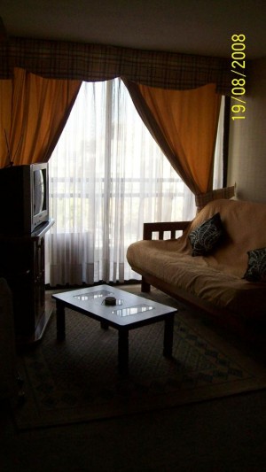 cynthia aguilera Anuncios gratis para novios en Santiago |  depto elegantemente amoblado providencia, $20.000 las 24 horas, tranquilo y seguro. y economico para su total comodidad 