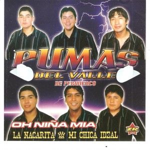 HERNAN BRICE&Ntilde;O Anuncios gratis para novios en Temuco |  GRUPO MUSICAL LOS PUMAS DEL VALLE, LOS PUMAS DEL VALLE 