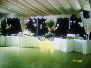 PATRICIO HERNANDEZ Anuncios gratis para novios en Quilicura |  BANQUETERIA, PRODUCTOR DE EVENTOS