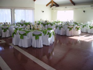Carol Anuncios gratis para novios en Santiago |  Banquete Santiago y Salones Incluidos, BanqueteSantiago y Salones Eventos