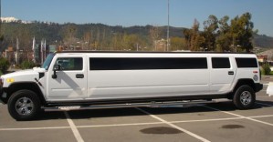 Guillermo Anuncios gratis para novios en Santiago |  Arriendo de Limusinas en Santiago y regiones, Para matrimonios, graduaciones, publicidad, eventos, fechas especiales