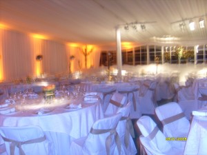 PATRICIO HERNANDEZ Anuncios gratis para novios en Quilicura |  BANQUETERIA, MATRIMONIOS,COKTAIL A DOMICILIO