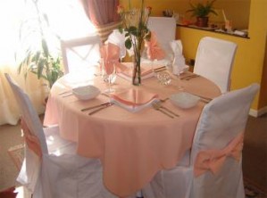 HERNAN Anuncios gratis para novios en &Ntilde;u&ntilde;oa |  BANQUETERO  MATRIMONIOS BANQUETERIA  A&Ntilde;OS DE EXPERIENCIA, TODO INCLUIDO,PRECIOS DESDE $8500 