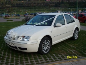 Patricia Arenas Anuncios gratis para novios en Recoleta |  Arriendo Auto Para Novios, Traslado de Novios