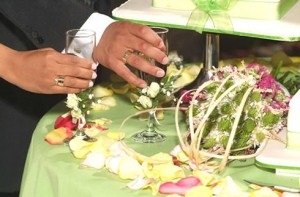 HERNAN Anuncios gratis para novios en El Array&aacute;n |  BANQUETEROS MATRIMONIOS BANQUETERIS GRADUACIONES , DESDE $8000