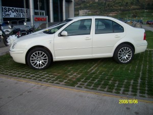 Patricia Arenas Anuncios gratis para novios en Huechuraba |  ARRIENDO AUTO PARA NOVIOS, BAUTIZOS , EVENTOS , ESPECIAL PARA NOVIOS