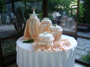 Andres Anuncios gratis para novios en Santiago |  Banquetes Santiago , Salones Carpa o Parcela para su Evento