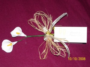 EVA Anuncios gratis para novios en Maip&uacute; |  ENCINTADOS, UN BONITO RECUERDO